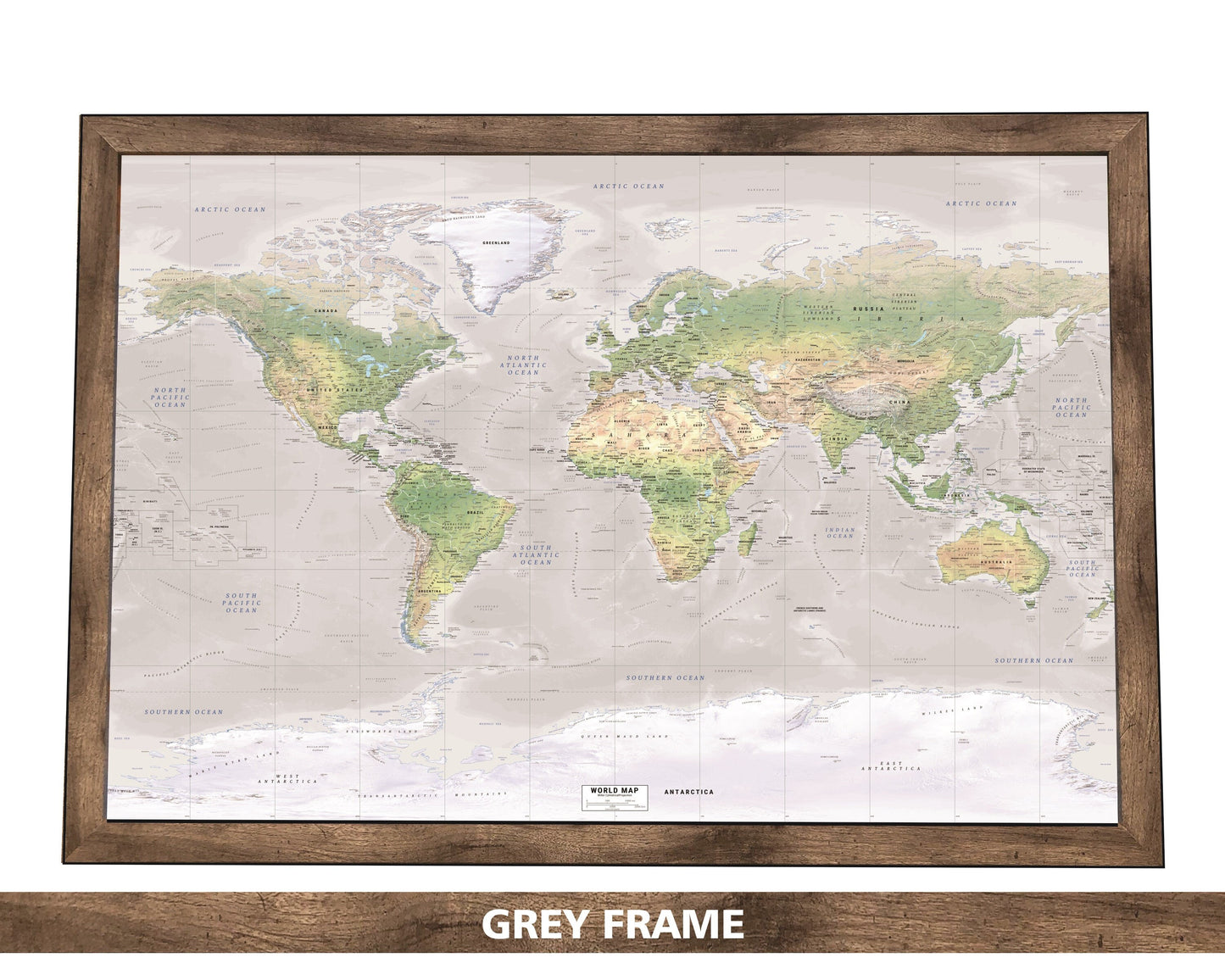 The Natural Gray Adventurer